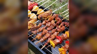 Novo fogão de churrasco, rack de churrasco doméstico, fogão de churrasco dobrável portátil ao ar livre, pequena ferramenta de churrasco